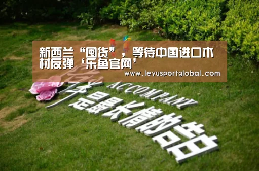 新西兰“囤货”,等待中国进口木材反弹‘乐鱼官网’(图2) 新西兰“囤货”,等待中国进口木材反弹‘乐鱼官网’(图2)