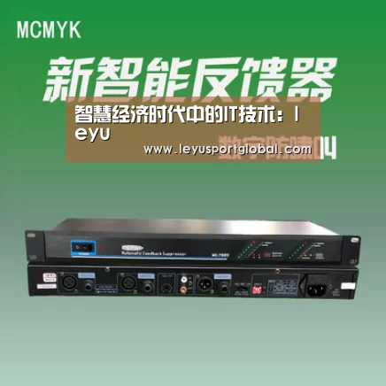 智慧经济时代中的IT技术:leyu(图3) 乐鱼官网