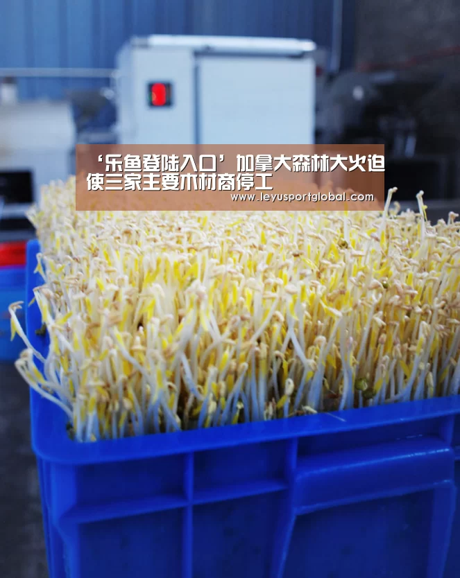 乐鱼登陆入口