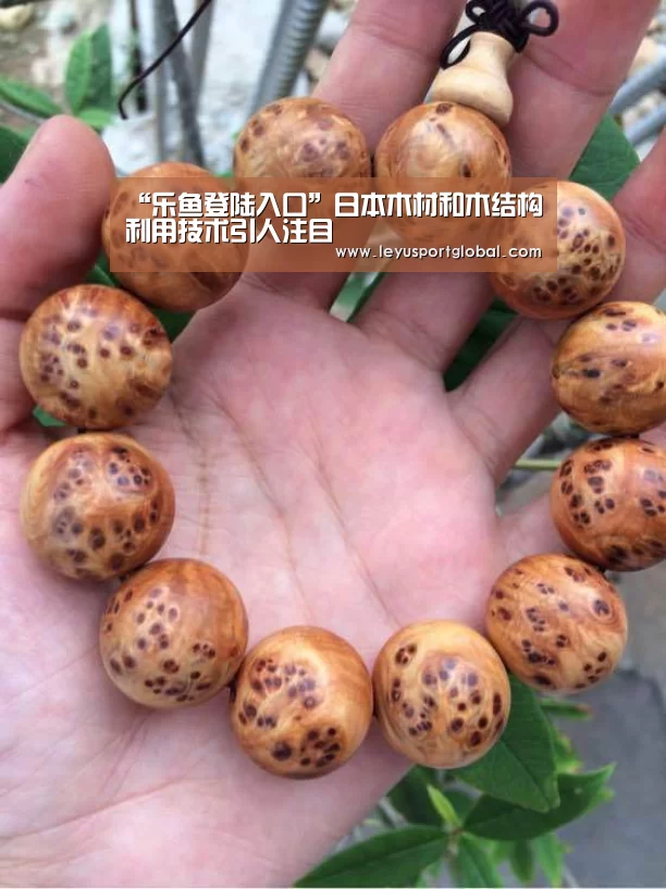 “乐鱼登陆入口”日本木材和木结构利用技术引人注目(图2) “乐鱼登陆入口”日本木材和木结构利用技术引人注目(图2)