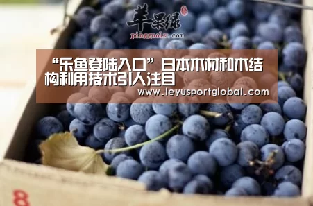 “乐鱼登陆入口”日本木材和木结构利用技术引人注目(图1) 乐鱼登陆入口