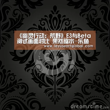 《幽灵行动:荒野》E3与Beta测试画面对比 果然缩水-乐鱼官网(图3) 乐鱼官网