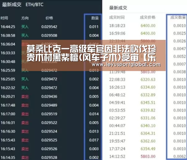 莫桑比克一高级军官因非法砍伐珍贵木材黑紫檀(风车子木)受审【乐鱼官网】(图1) 莫桑比克一高级军官因非法砍伐珍贵木材黑紫檀(风车子木)受审【乐鱼官网】(图1)