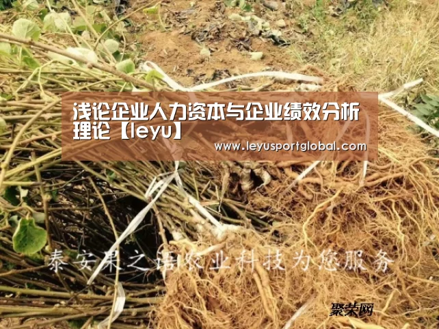 浅论企业人力资本与企业绩效分析理论【leyu】(图2) 浅论企业人力资本与企业绩效分析理论【leyu】(图2)