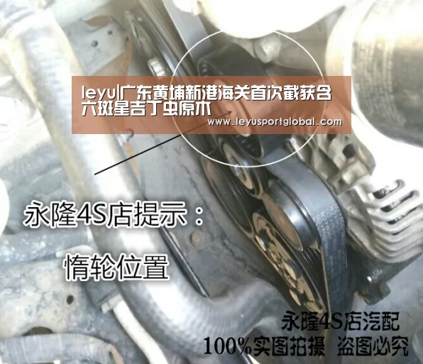 leyu|广东黄埔新港海关首次截获含六斑星吉丁虫原木(图1) leyu|广东黄埔新港海关首次截获含六斑星吉丁虫原木(图1)