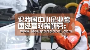 论我国中小企业跨国经营对策研究:乐鱼官网(图4) 乐鱼官网