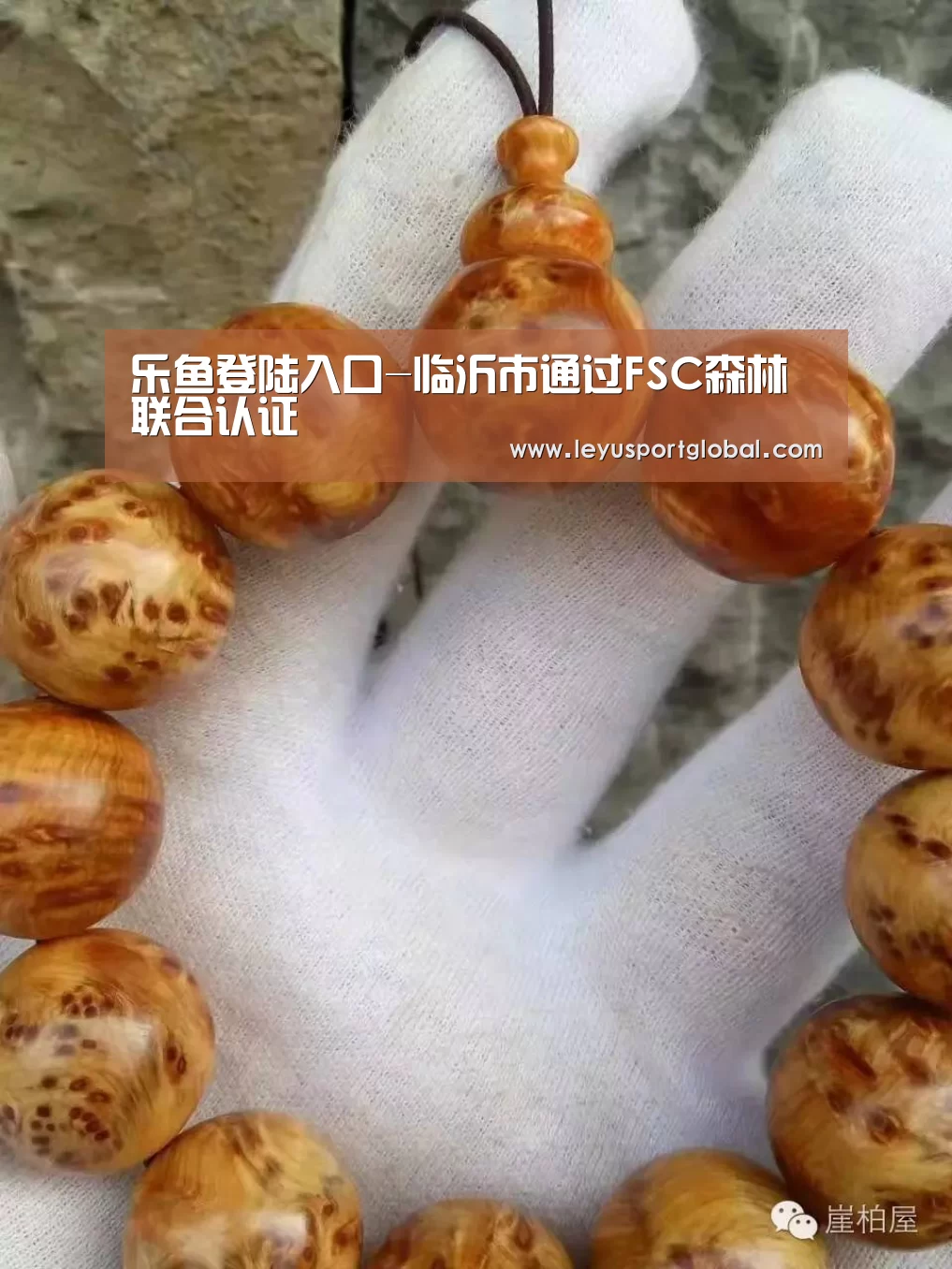 乐鱼官网