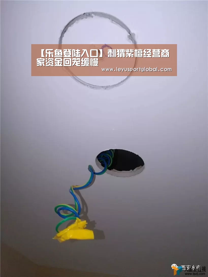 【乐鱼登陆入口】刺猬紫檀经营商家资金回笼缓慢(图2) 【乐鱼登陆入口】刺猬紫檀经营商家资金回笼缓慢(图2)